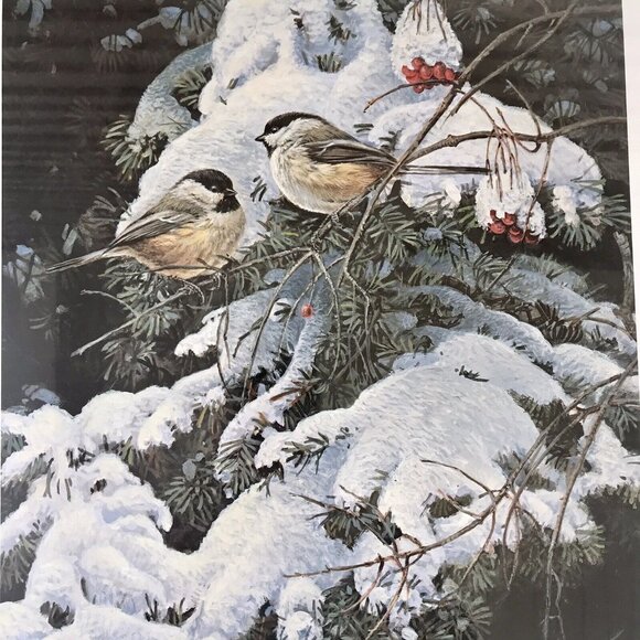 Signed, Limited Edition Print: Winter In My Backyard by Alan Sakhavarz SEALED! - Picture 2 of 7